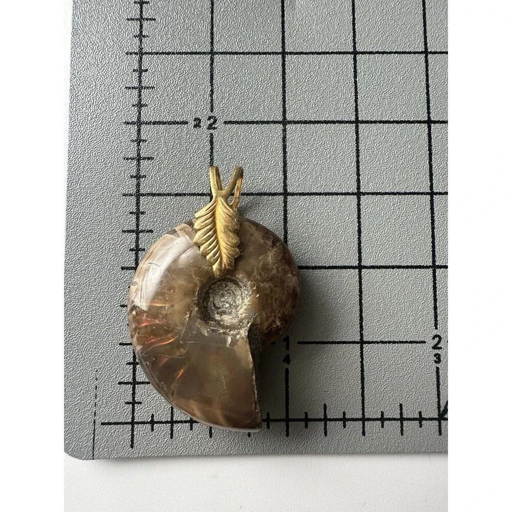 Iridescent Ammonite Fossil Pendant